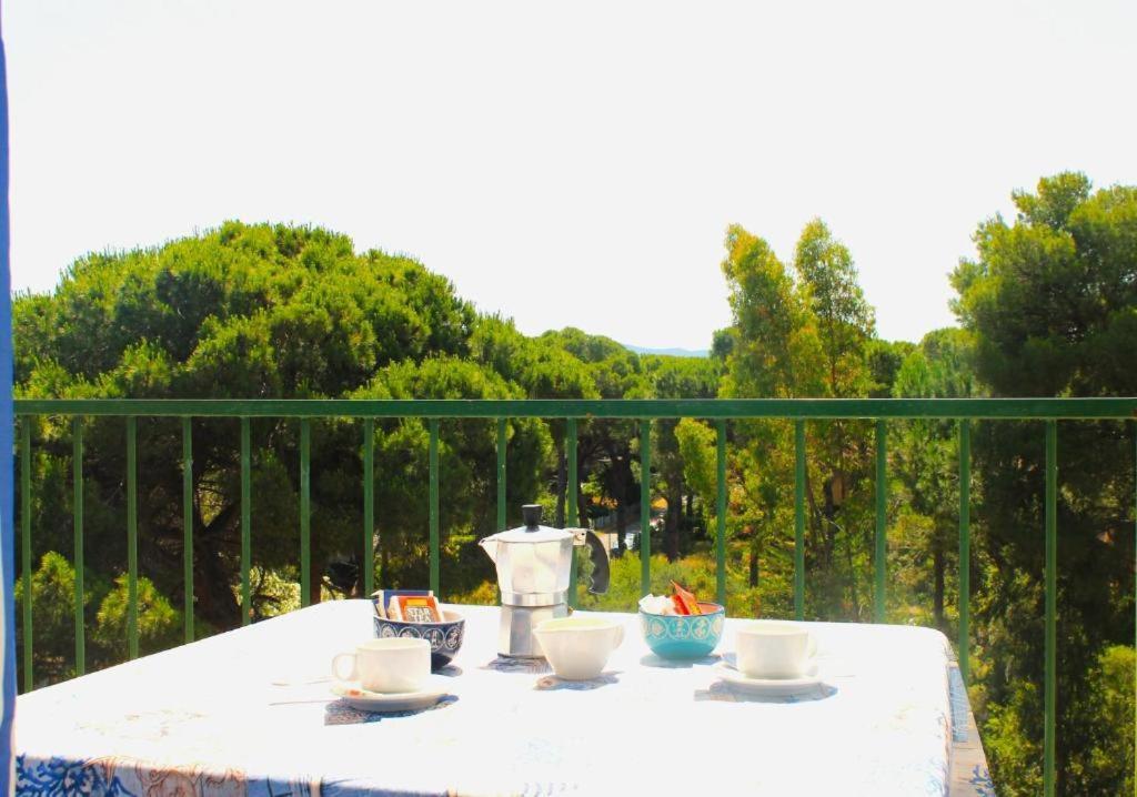 Residence Delle Nazioni Principina a Mare Exteriör bild